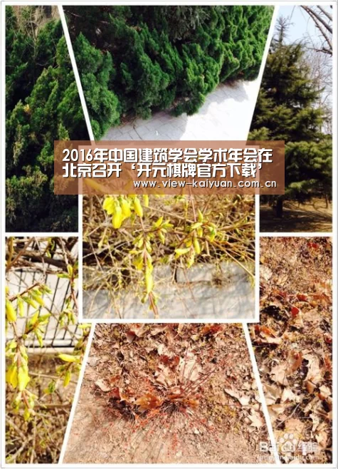 2016年中国建筑学会学术年会在北京召开‘开元棋牌官方下载’(图1) 开元棋牌