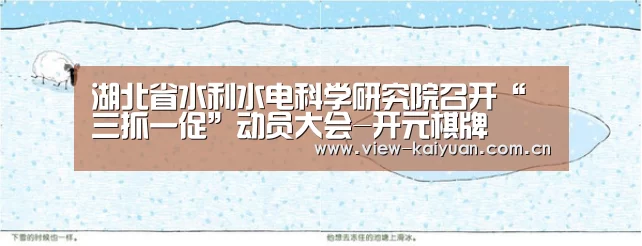 湖北省水利水电科学研究院召开“三抓一促”动员大会-开元棋牌(图2) ky sports