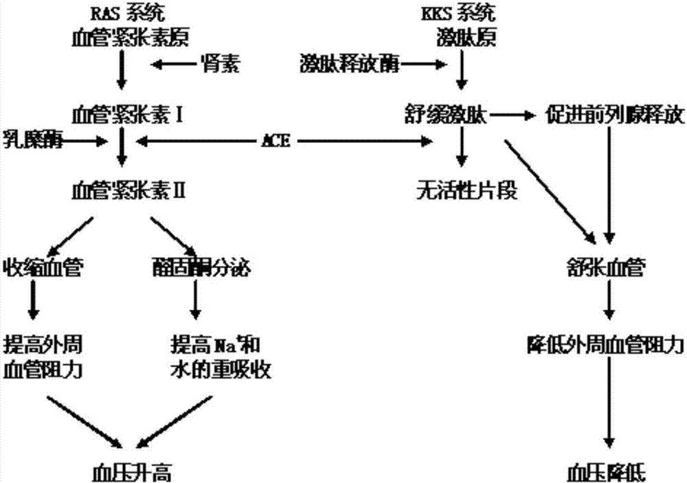 开元